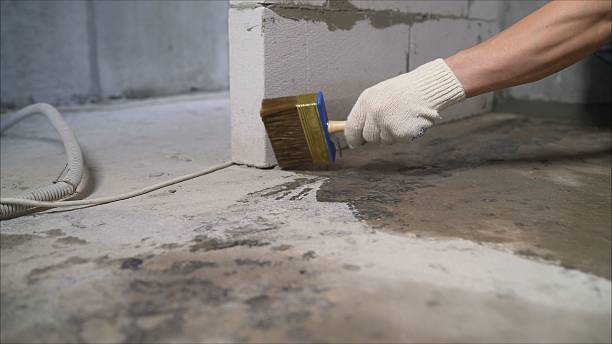 SJ Waterproofing Pros Waterproofing coverage map for Millington, MI and surrounding area